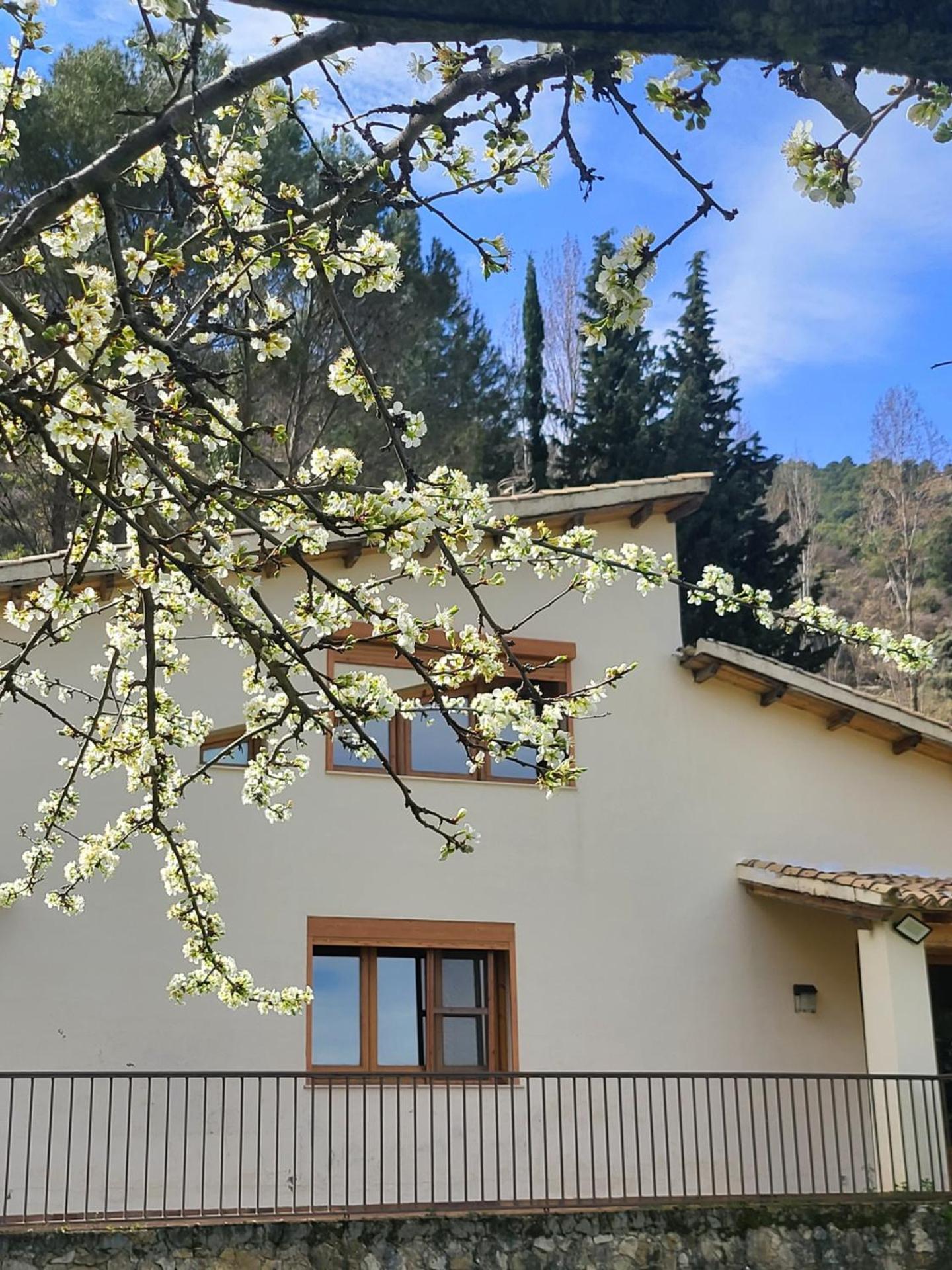 Casa Montepinar Cazorla Eksteriør billede